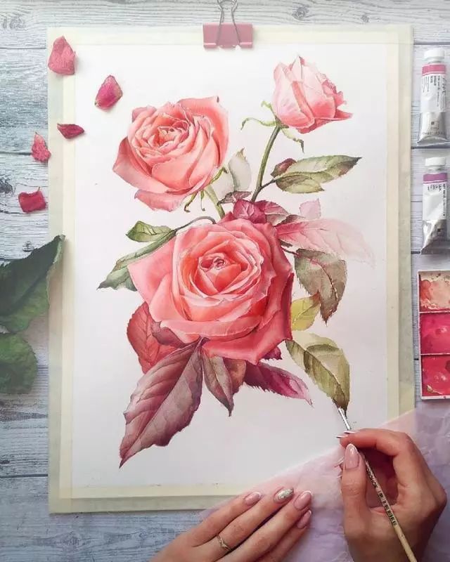 超逼真的水彩手繪插畫，小清新植物插畫圖片