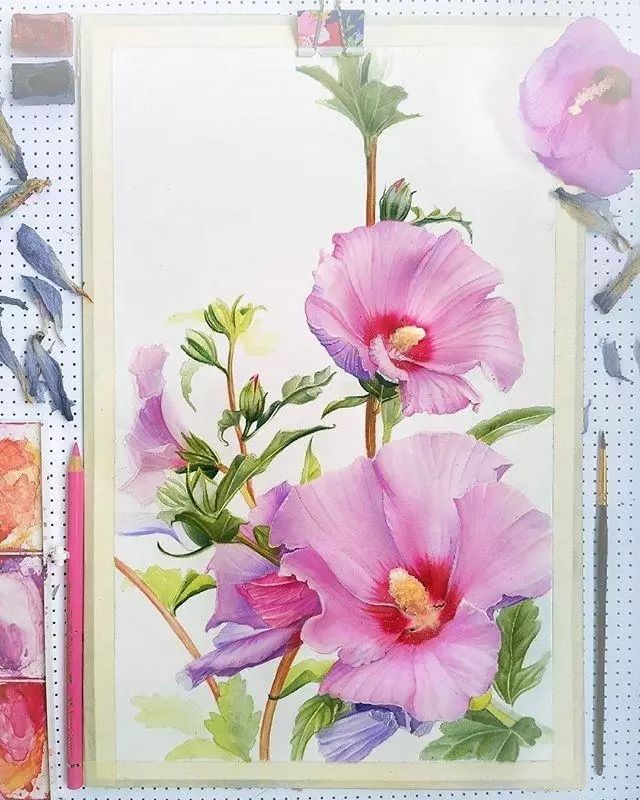 超逼真的水彩手繪插畫，小清新植物插畫圖片