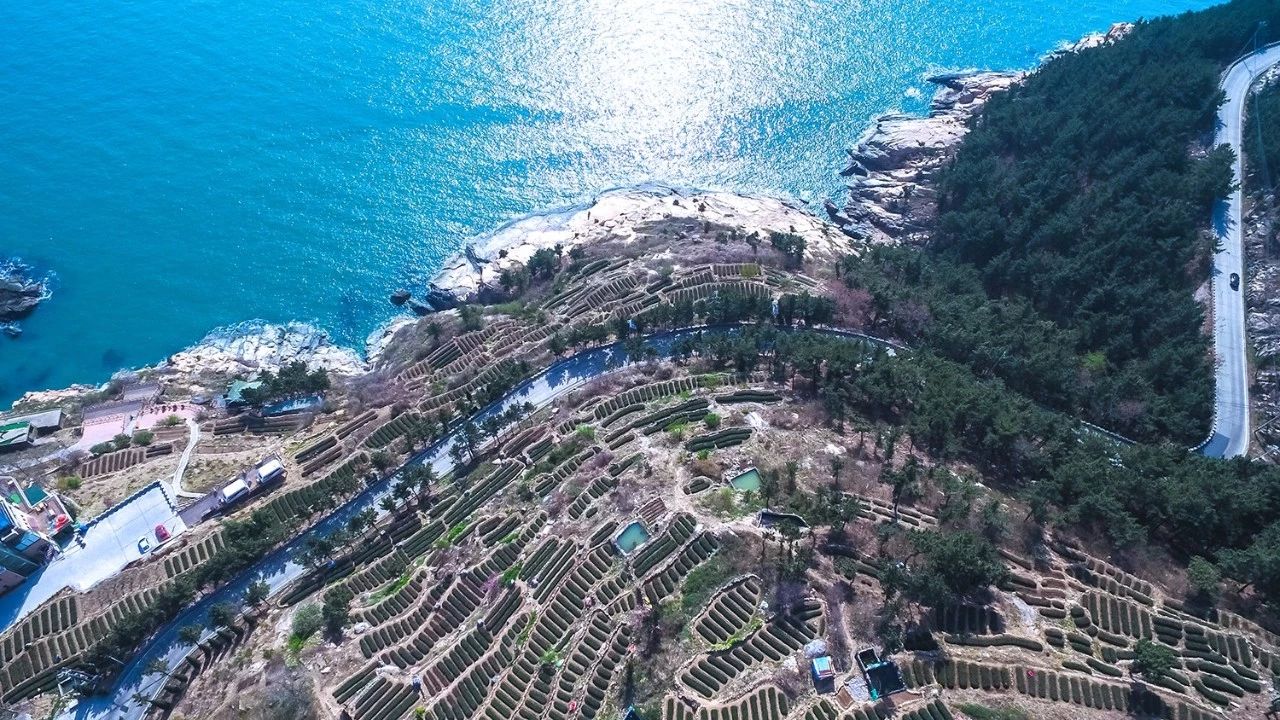 青島·瑞宿海棲，等你來(lái)就讓瑞宿帶你環(huán)游青島