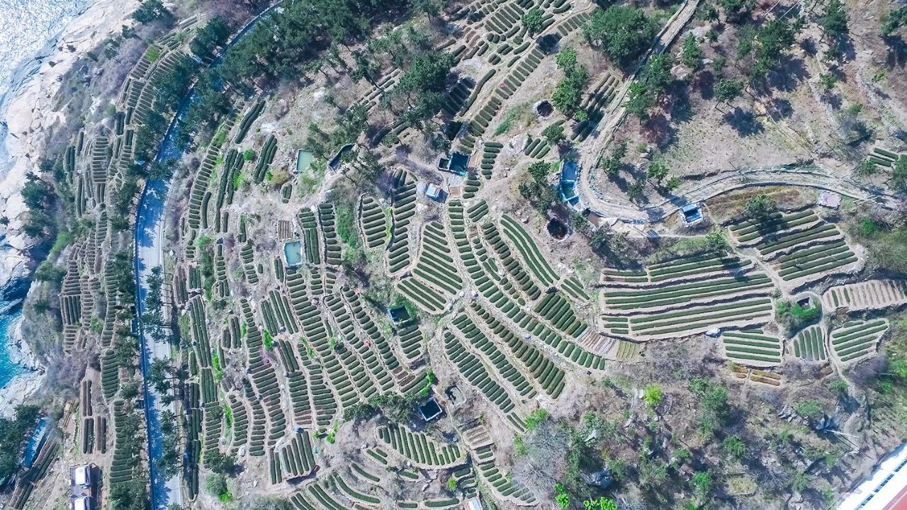青島·瑞宿海棲，等你來就讓瑞宿帶你環(huán)游青島