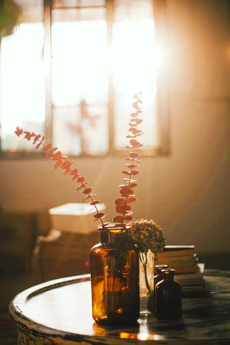 廈門·花青宿，一場風(fēng)格迥異遠古部落的夢