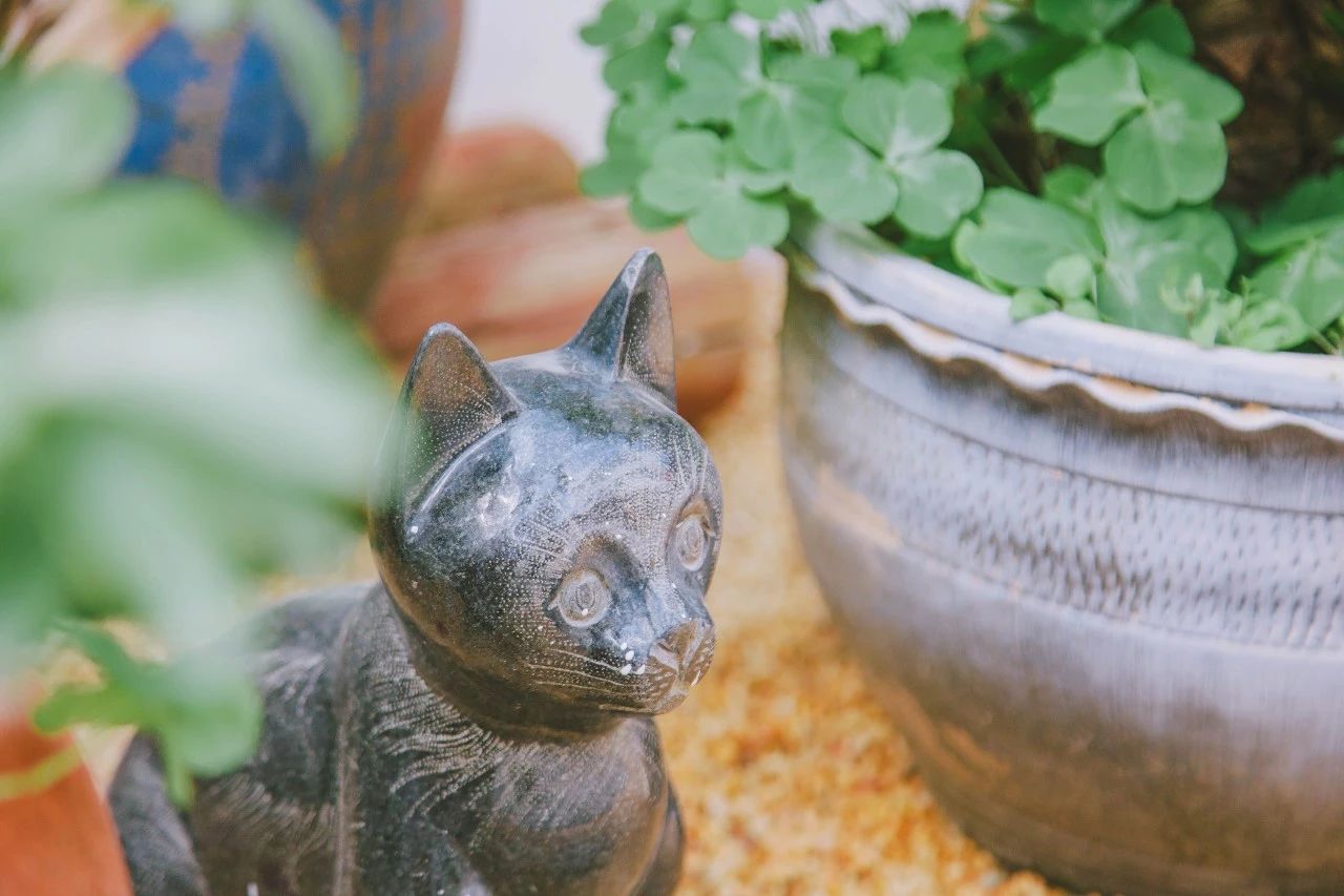 廈門·花青宿，一場風(fēng)格迥異遠古部落的夢