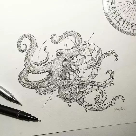 驚嘆的動物手繪插畫：學霸與藝術的完美融合