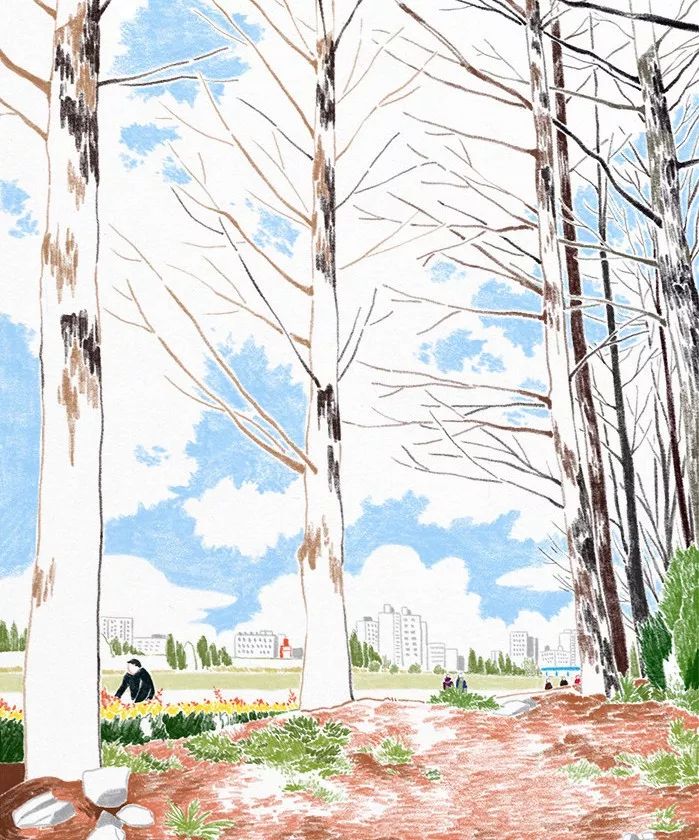 一組小清新彩鉛插畫，唯美的色彩世界!