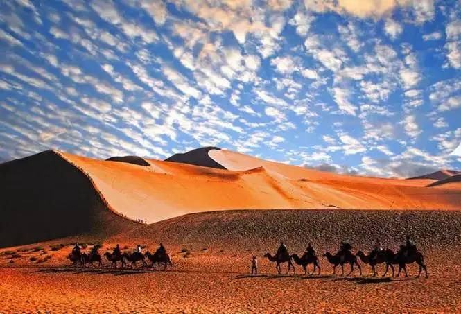 《天邊的駱駝》，震撼的沙漠風(fēng)景之美!