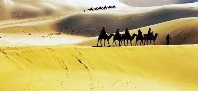 《天邊的駱駝》，震撼的沙漠風(fēng)景之美!