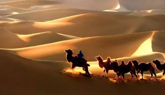 《天邊的駱駝》，震撼的沙漠風(fēng)景之美!