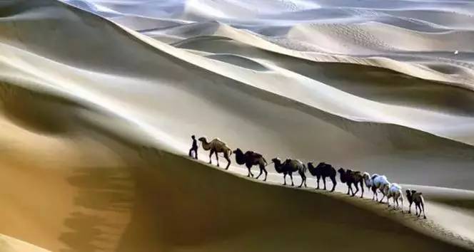 《天邊的駱駝》，震撼的沙漠風(fēng)景之美!