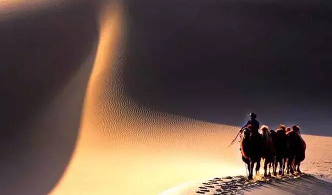 《天邊的駱駝》，震撼的沙漠風(fēng)景之美!