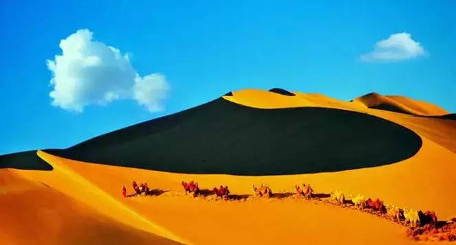 《天邊的駱駝》，震撼的沙漠風景之美!