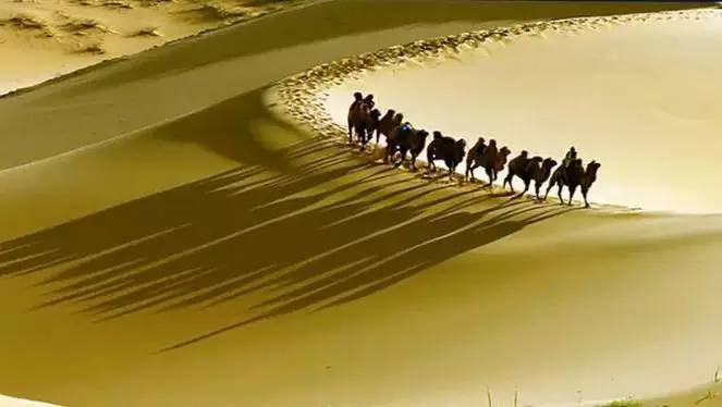 《天邊的駱駝》，震撼的沙漠風景之美!