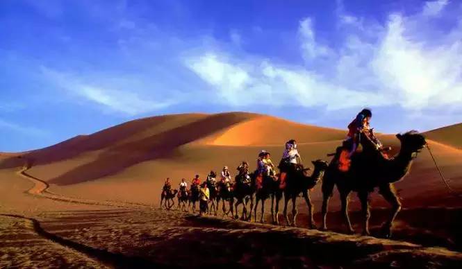 《天邊的駱駝》，震撼的沙漠風景之美!