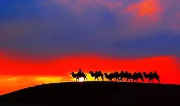 《天邊的駱駝》，震撼的沙漠風景之美!