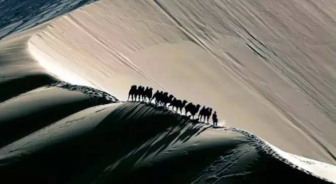《天邊的駱駝》，震撼的沙漠風景之美!