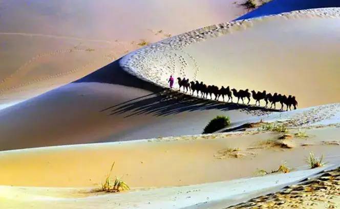 《天邊的駱駝》，震撼的沙漠風(fēng)景之美!