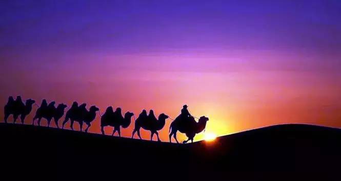 《天邊的駱駝》，震撼的沙漠風景之美!