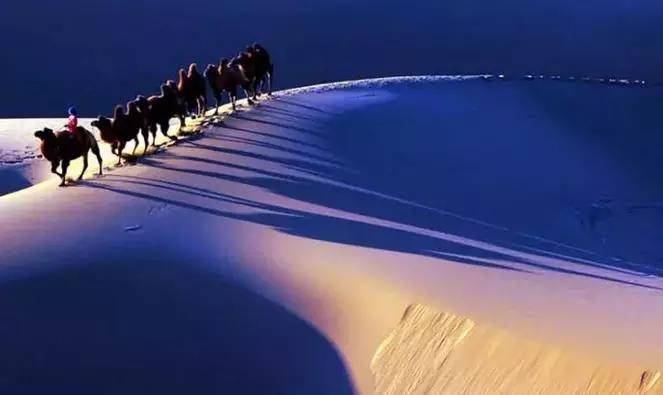 《天邊的駱駝》，震撼的沙漠風(fēng)景之美!