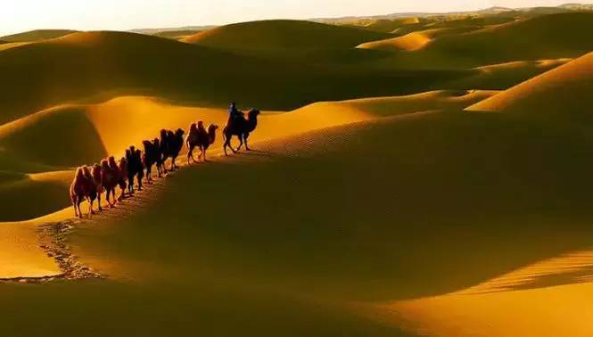 《天邊的駱駝》，震撼的沙漠風(fēng)景之美!
