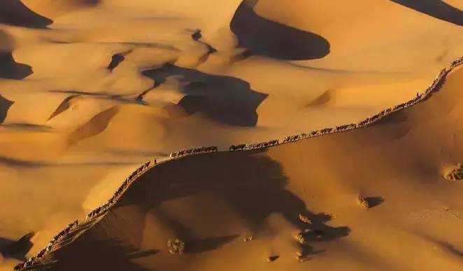 《天邊的駱駝》，震撼的沙漠風(fēng)景之美!