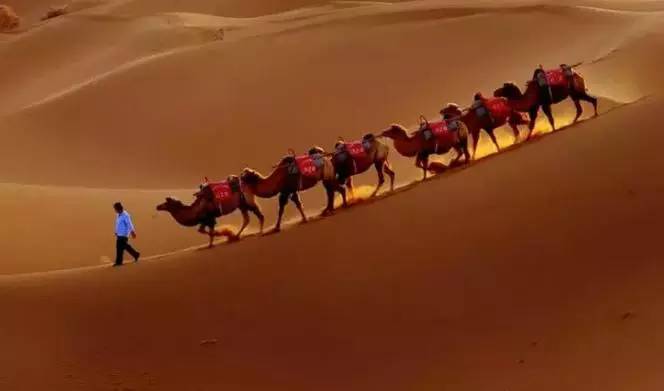 《天邊的駱駝》，震撼的沙漠風(fēng)景之美!