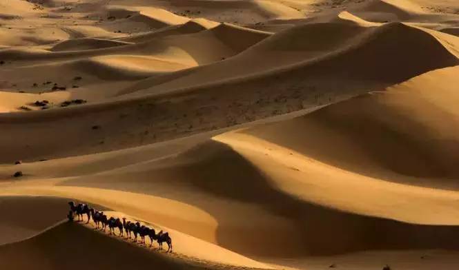 《天邊的駱駝》，震撼的沙漠風(fēng)景之美!