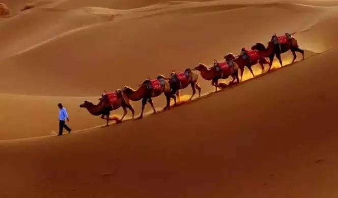 《天邊的駱駝》，震撼的沙漠風(fēng)景之美!