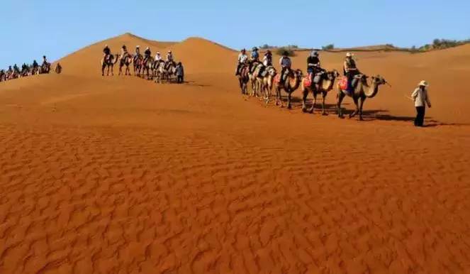 《天邊的駱駝》，震撼的沙漠風(fēng)景之美!