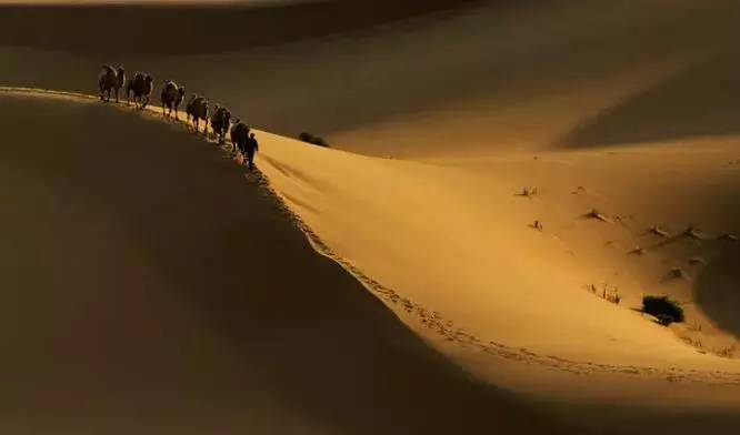 《天邊的駱駝》，震撼的沙漠風(fēng)景之美!