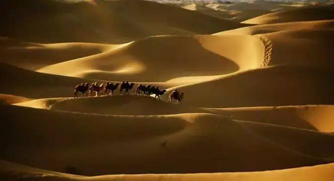 《天邊的駱駝》，震撼的沙漠風景之美!