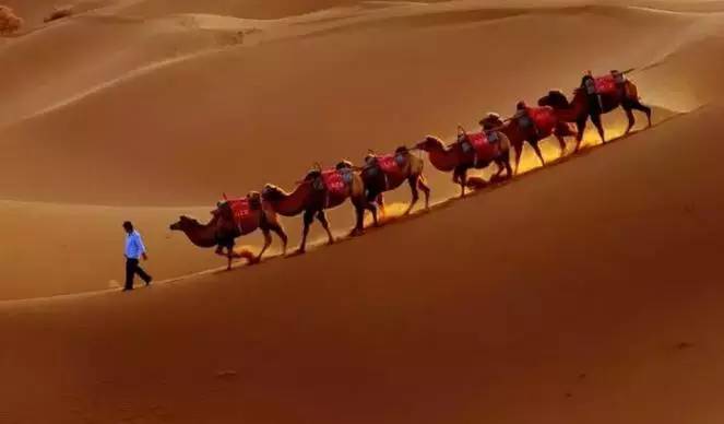 《天邊的駱駝》，震撼的沙漠風(fēng)景之美!