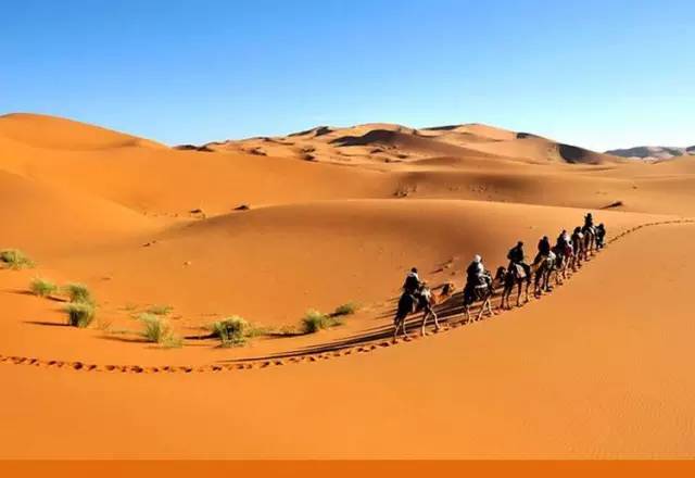 《天邊的駱駝》，震撼的沙漠風(fēng)景之美!