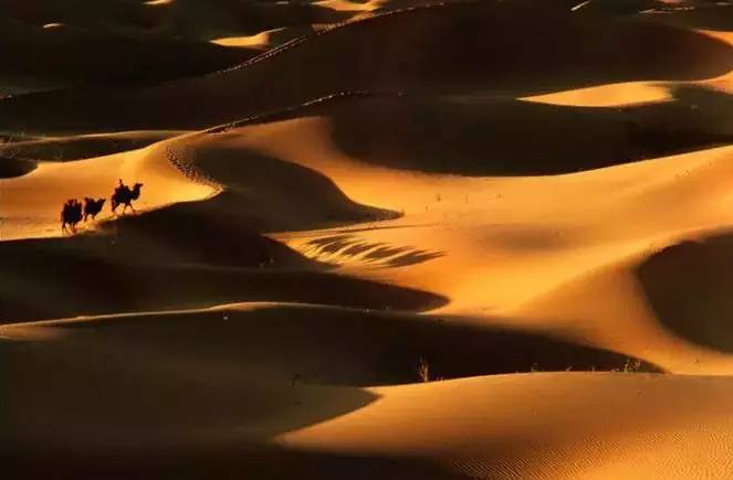 《天邊的駱駝》，震撼的沙漠風(fēng)景之美!