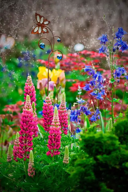 最美風景《魯冰花》，送給母親的花！