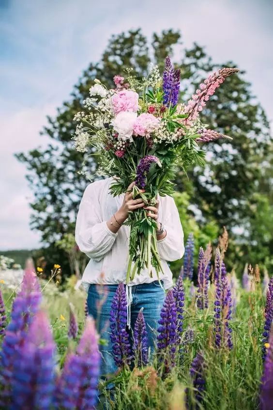 最美風(fēng)景《魯冰花》，送給母親的花！