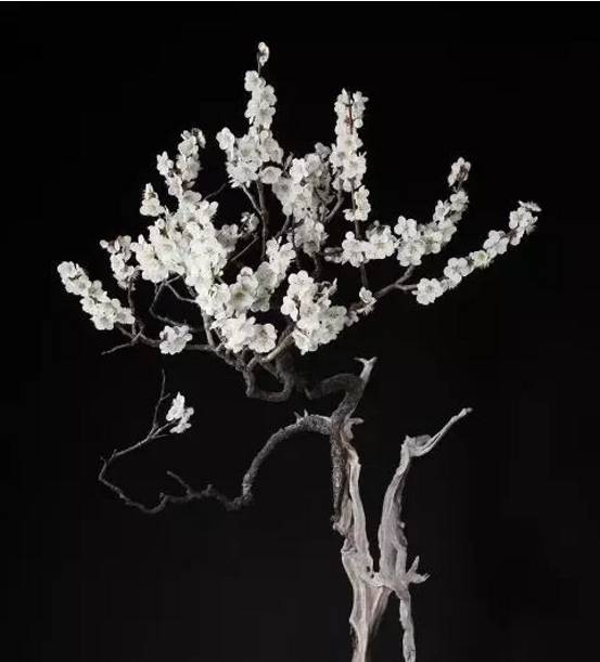 頂級盆景藝術(shù)，一種讓世人驚嘆的美！