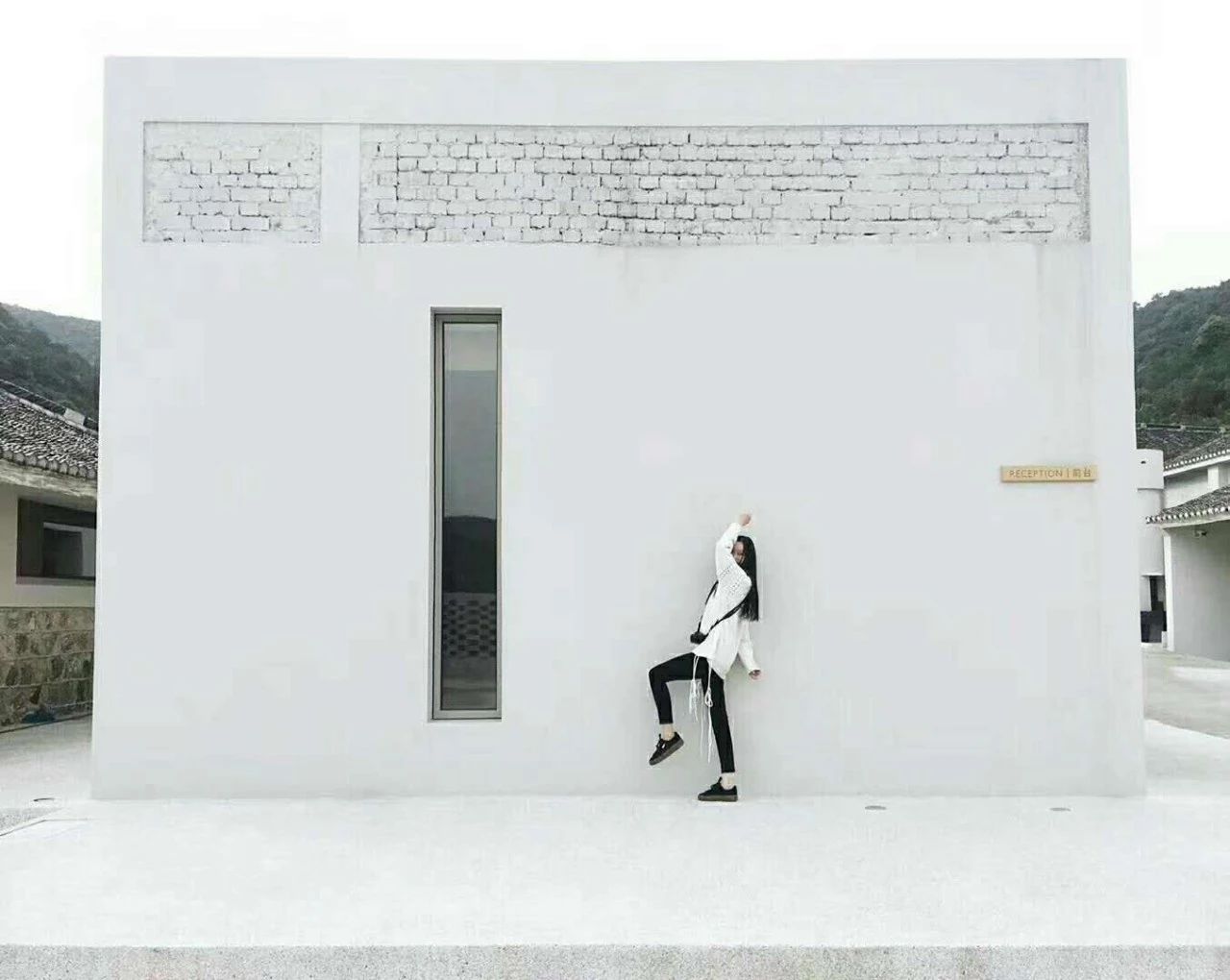 九熹·大樂之野，流水的大樂之野鐵打的小白墻