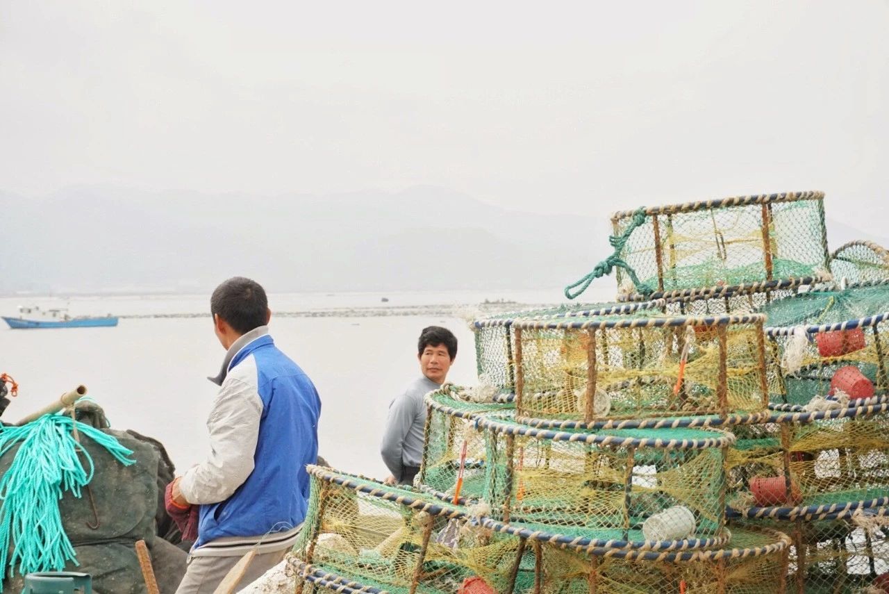 九熹·大樂(lè)之野，流水的大樂(lè)之野鐵打的小白墻