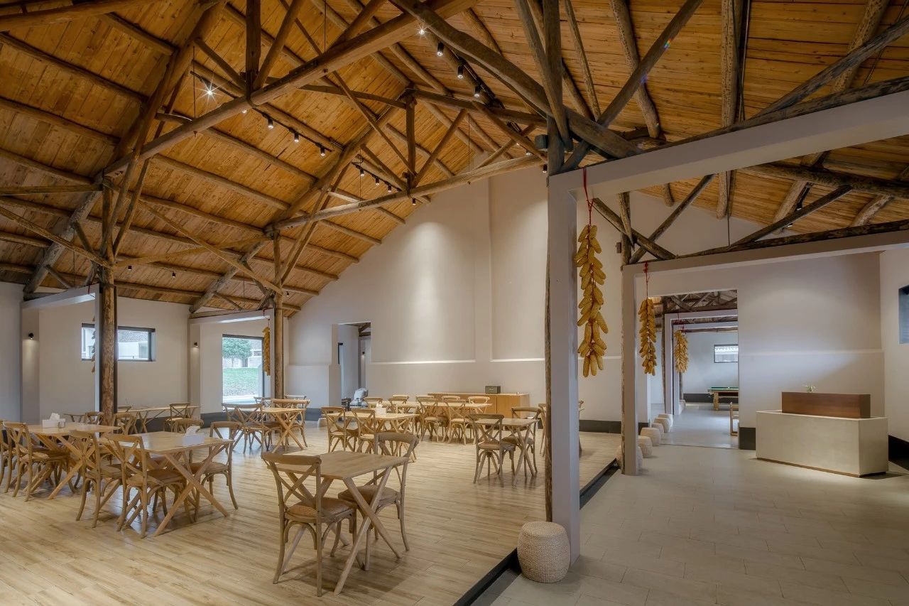 九熹·大樂之野，流水的大樂之野鐵打的小白墻