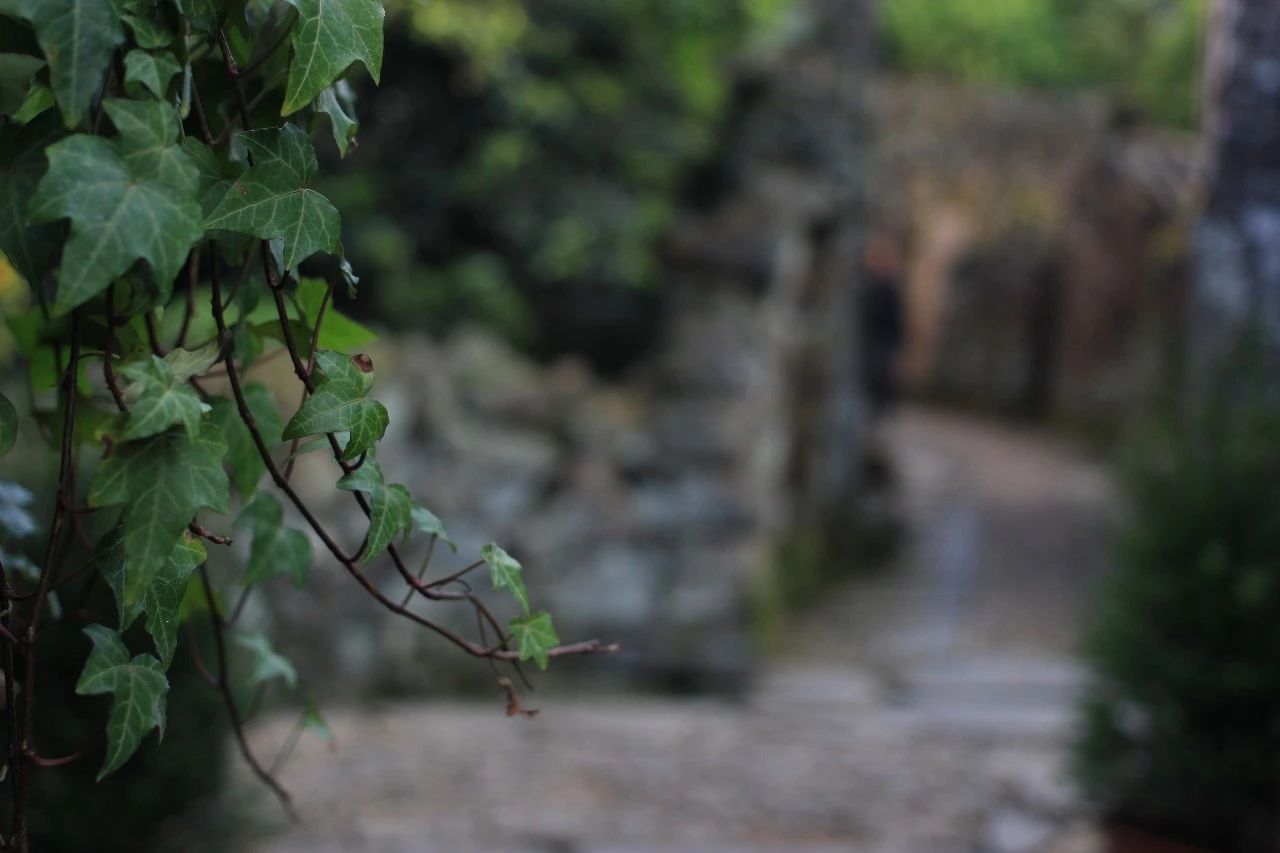 九熹·大樂之野，流水的大樂之野鐵打的小白墻