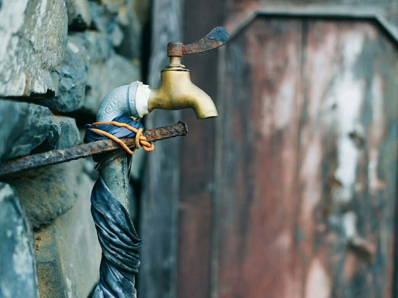 九熹·大樂之野，流水的大樂之野鐵打的小白墻