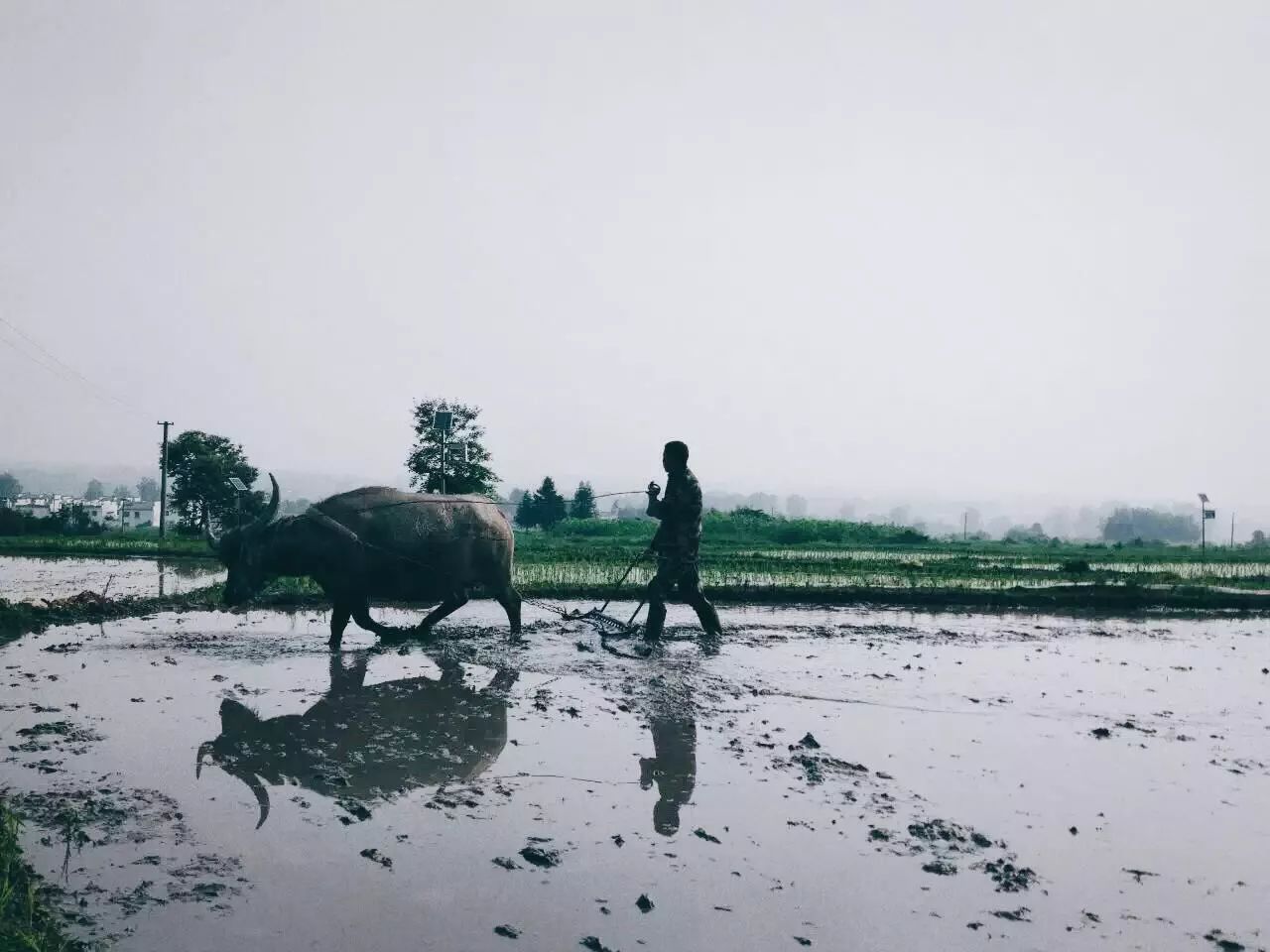 黃山·東田別野，日出而作日落而息的時光野