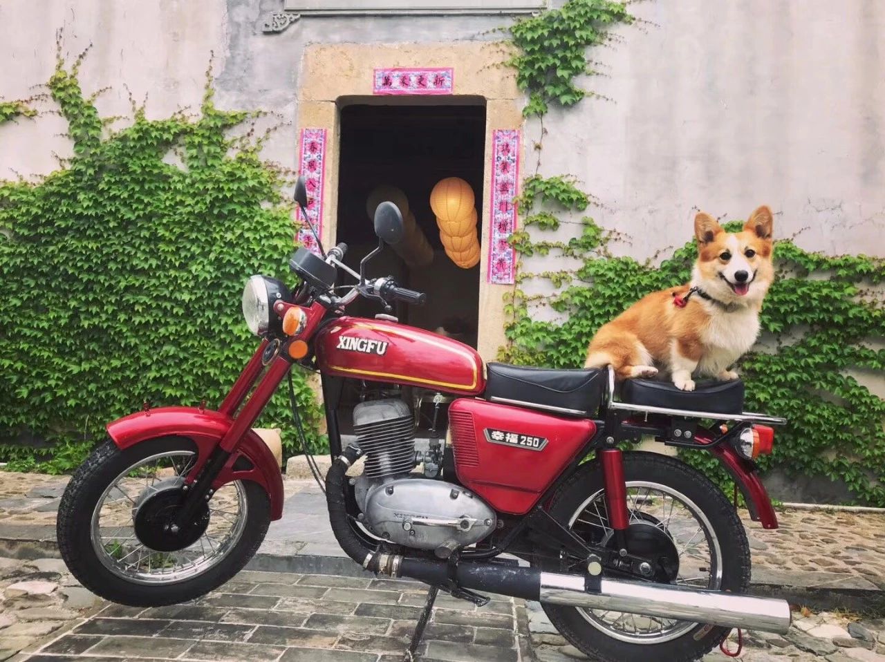 黃山·東田別野，日出而作日落而息的時光野