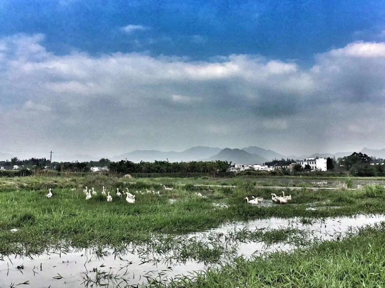黃山·東田別野，日出而作日落而息的時光野