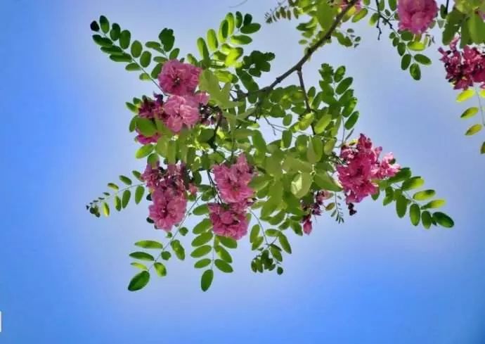 小滿節(jié)氣，人生小滿