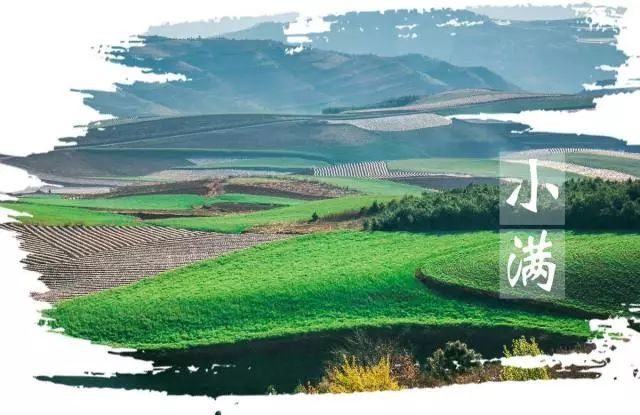 小滿節(jié)氣，人生小滿