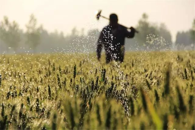 小滿節(jié)氣，人生小滿