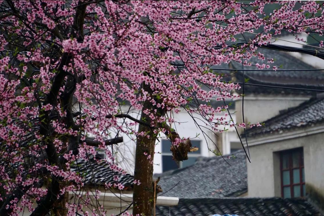 古鎮(zhèn)情懷：30個古鎮(zhèn)愿有人與你一起踏足！