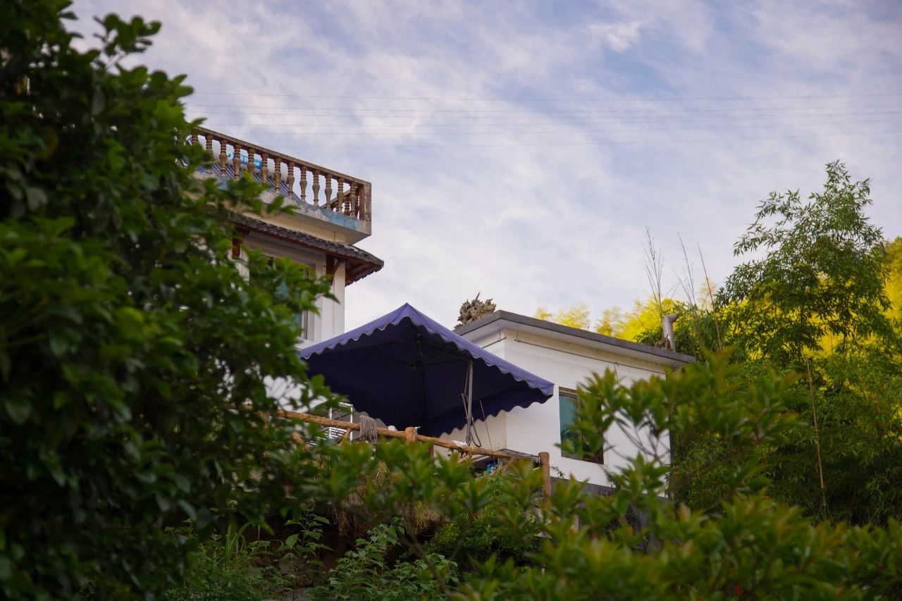 點(diǎn)叁民宿，千島湖坐船賞景豈不詩(shī)意？