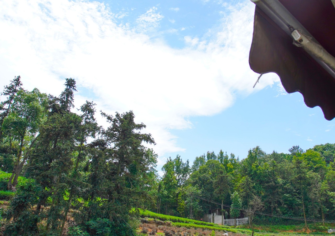 點(diǎn)叁民宿，千島湖坐船賞景豈不詩(shī)意？