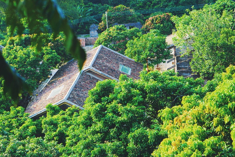 廣州·菁木山舍，有個(gè)木屋開(kāi)滿鮮花看花開(kāi)花落